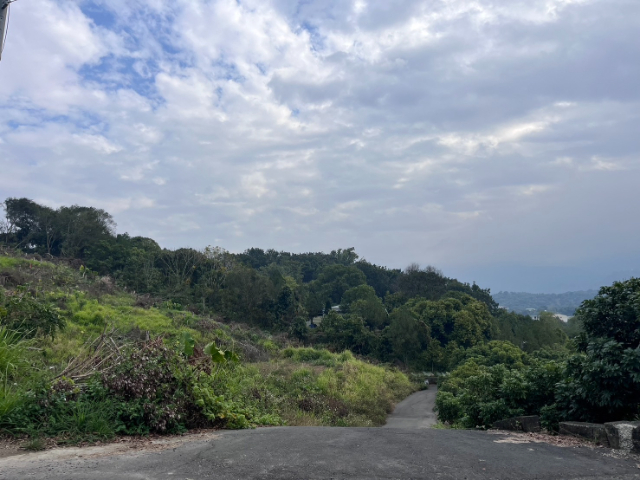 東山區近斑芝花2.7分山坡農地(專),台南市東山區前大埔段