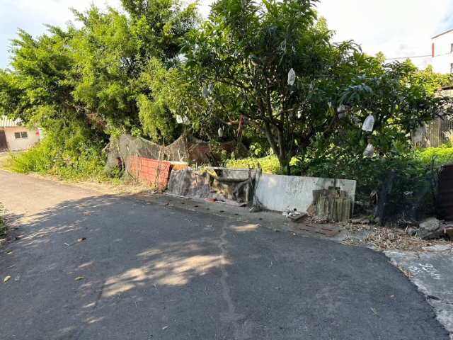 鹽水區歡雅鄉村幽靜持分建地(二),台南市鹽水區歡雅段