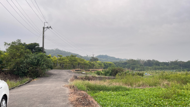 六甲雙面臨路美都農,台南市六甲區六甲段         