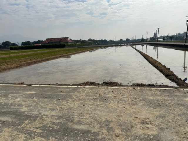 白河區竹子門優質農保地,台南市白河區埤子頭段埤子頭小段  