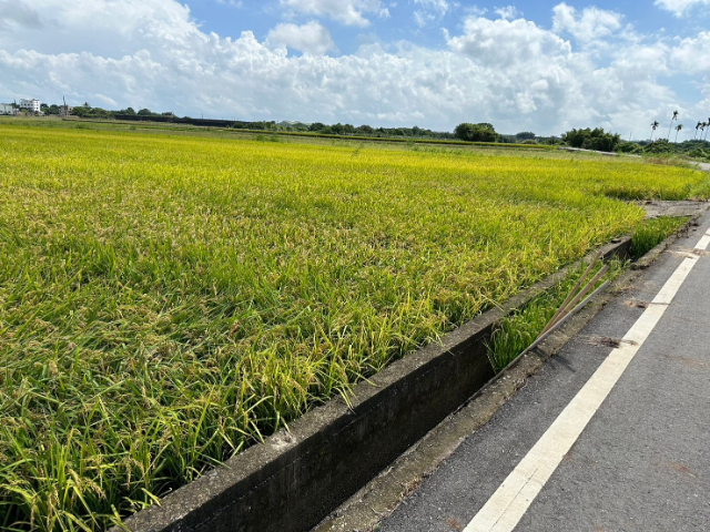 東山區北勢寮平價優質果園農地,台南市東山區北勢寮段