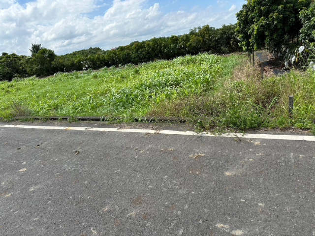 東山區北勢寮平價優質果園農地,台南市東山區北勢寮段