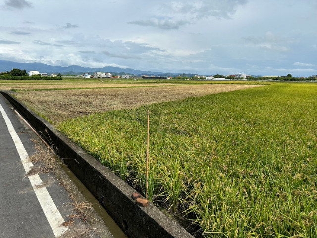 東山區北勢寮平價優質果園農地,台南市東山區北勢寮段