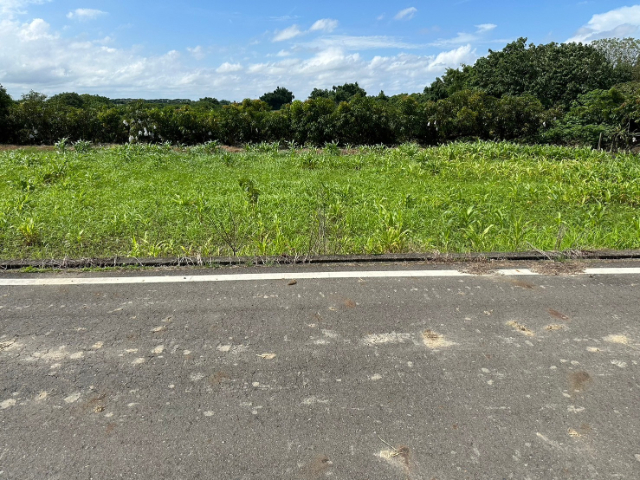 東山區北勢寮平價優質果園農地,台南市東山區北勢寮段