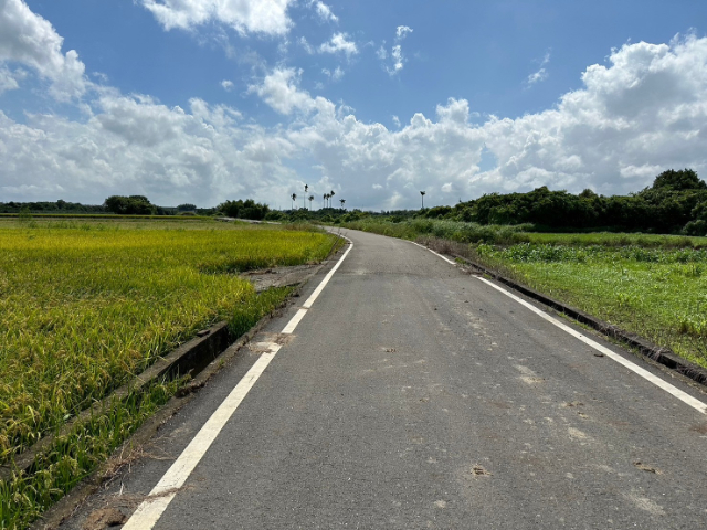 東山區北勢寮平價優質果園農地,台南市東山區北勢寮段