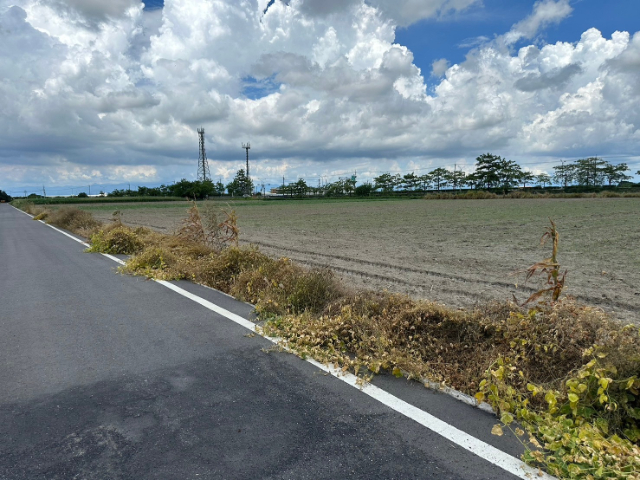 鹽水區台灣詩路附近方正美農地,台南市鹽水區田寮段