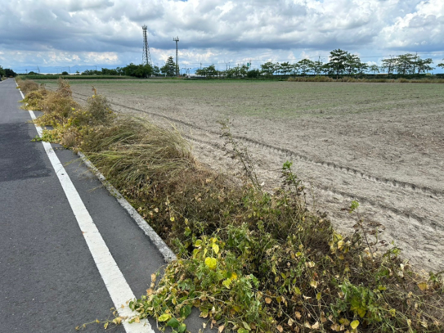 鹽水區台灣詩路附近方正美農地,台南市鹽水區田寮段