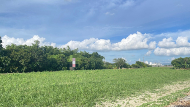 中洲美景好農地,台南市仁德區中洲段