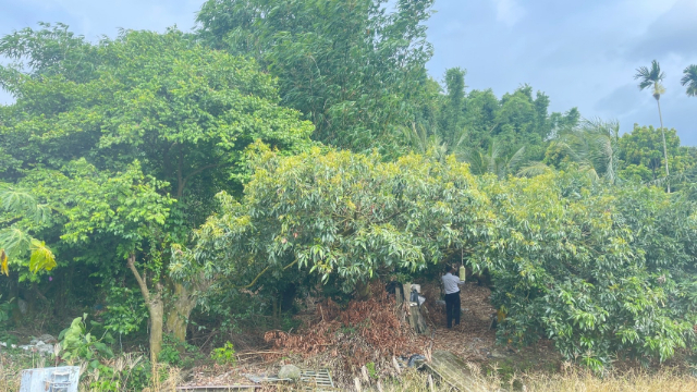 白河詔安便宜持分農地,台南市白河區詔安段