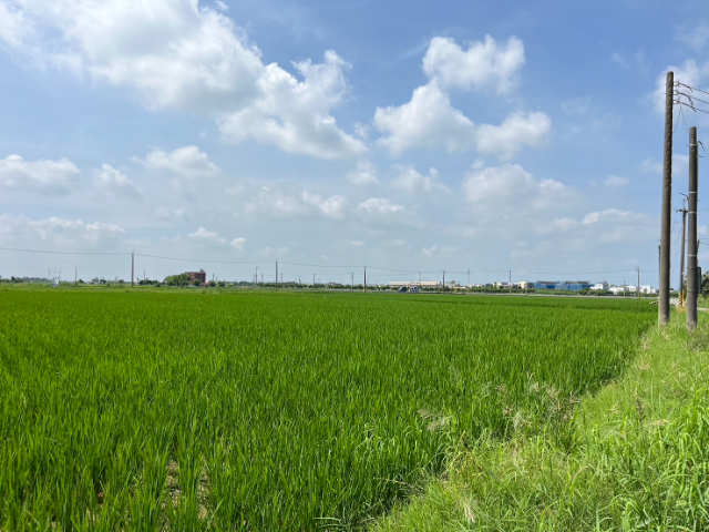 六甲龜子港鄉村一甲特農地,台南市六甲區龜子港段