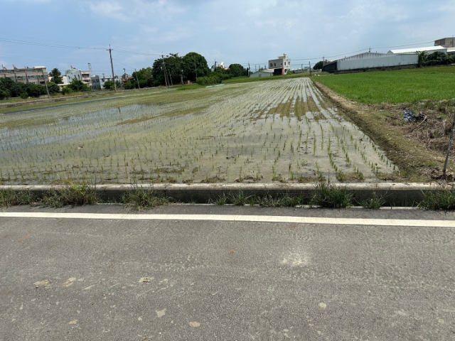 新營區後鎮2.95分方正美農地,台南市新營區後鎮段