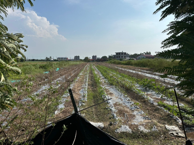 太保高鐵站縣治開發(住二)重劃區,嘉義縣太保市崙子頂段崙頂小段