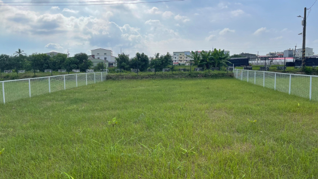 ㊣六甲鄉村田園趣(二),台南市六甲區六甲段